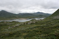 IMG_4509.jpg