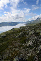 IMG_4561.jpg