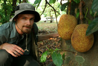 Highlight for Album: Limbe