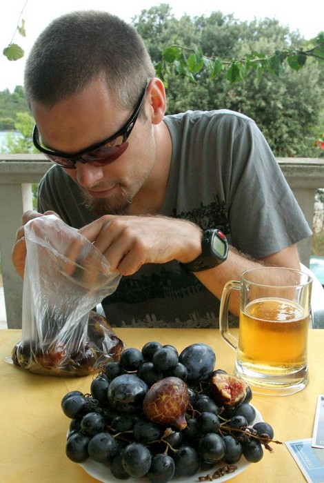 DiggingIntoTheFigs.jpg