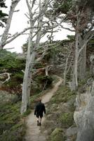 MikkelOnPath.jpg