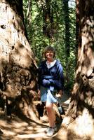 MomInMuirWoods2.jpg