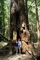 Mom&amp;MeInTree.jpg