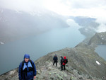 Norway (589 views)