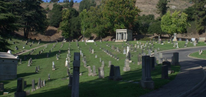 cemetery20-rows