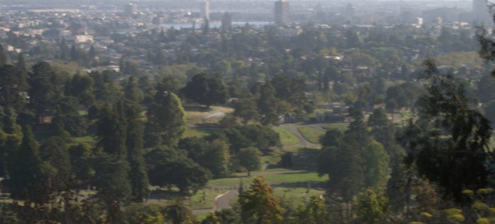 cemetery23-overview