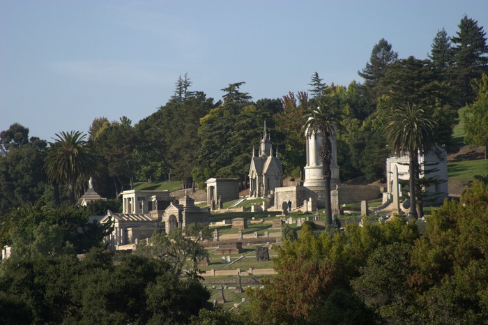cemetery29-collection-pasttrees