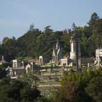 cemetery29-collection-pasttrees