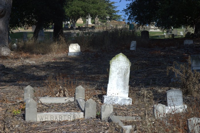cemetery9-decrepit-bartram-hughes