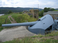 IMG_2172.jpg