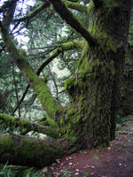 IMG_2190.JPG