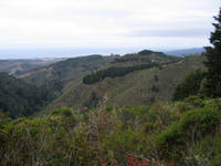 IMG_2192.JPG
