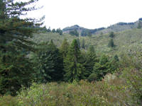 IMG_2208.JPG