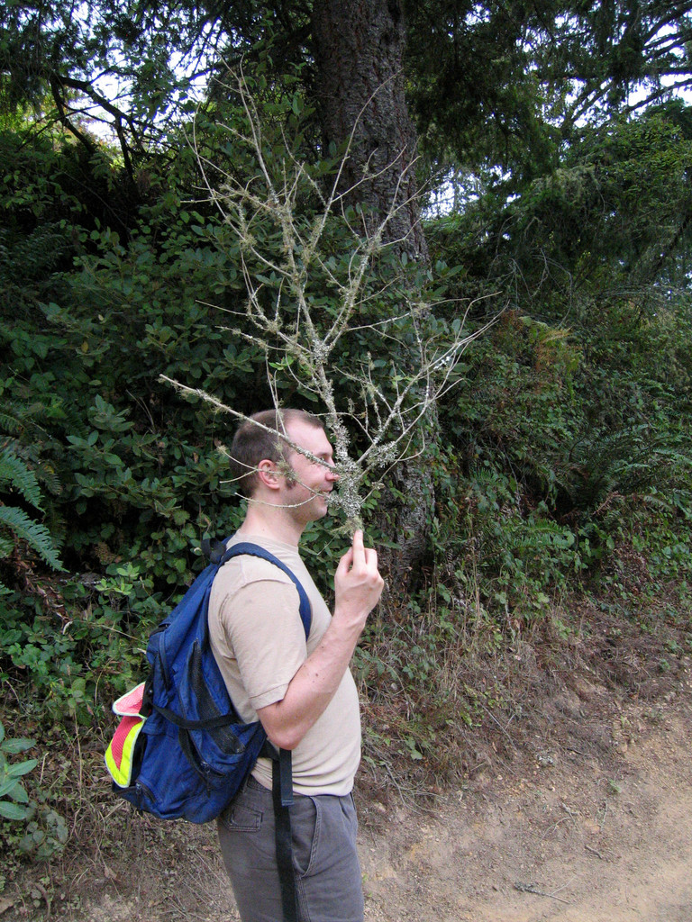 Josh demonstrates Insufficient Camouflage