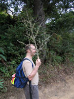 Josh demonstrates Insufficient Camouflage