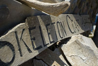 Highlight for Album: Skeleton Coast