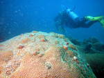 DSCN2610_levelled.jpg
