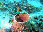 DSCN2754_levelled.jpg