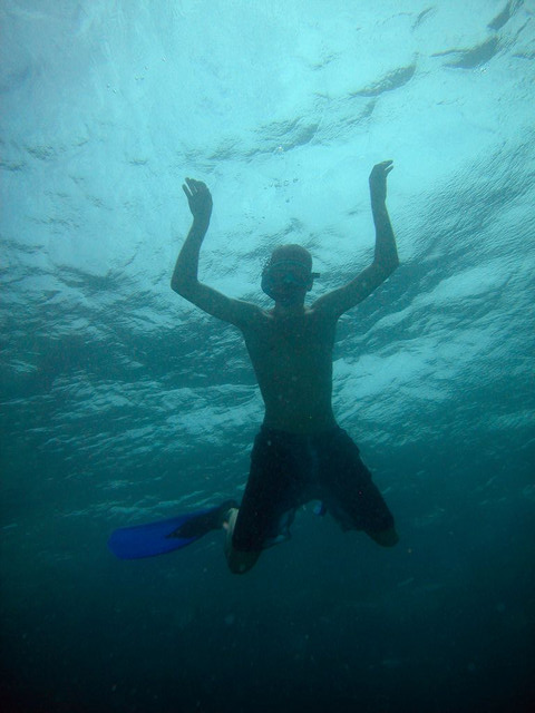 Snorkler