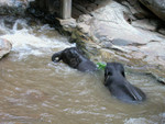 DSCN2400.JPG