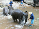 DSCN2405.JPG