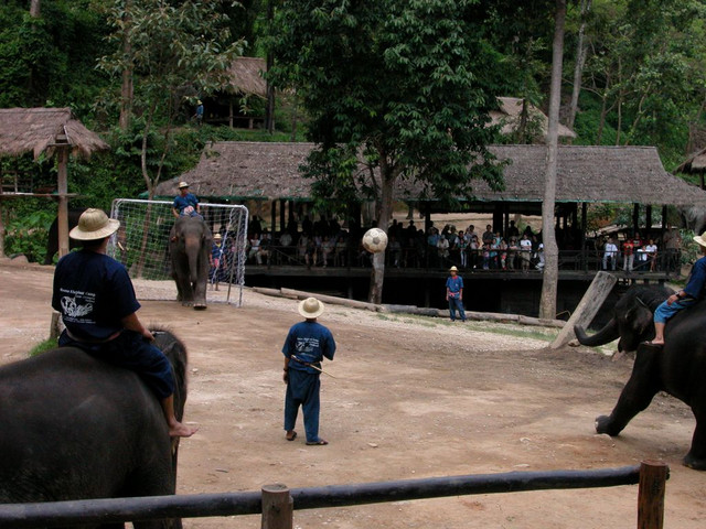 DSCN2415.JPG