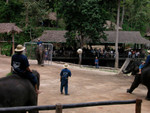 DSCN2415.JPG