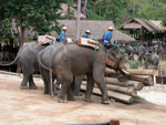 DSCN2423.JPG