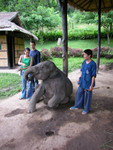 DSCN2429.JPG