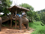 DSCN2441.JPG