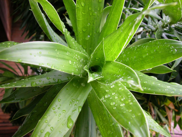 DSCN2532.JPG