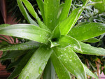 DSCN2532.JPG