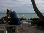 DSCN2539.JPG