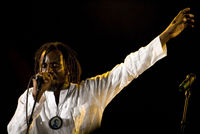 Highlight for Album: Zanzibar